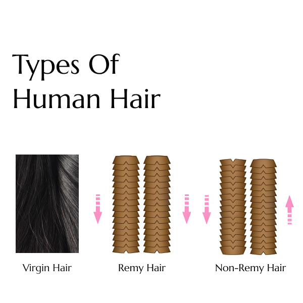 types-human-hair